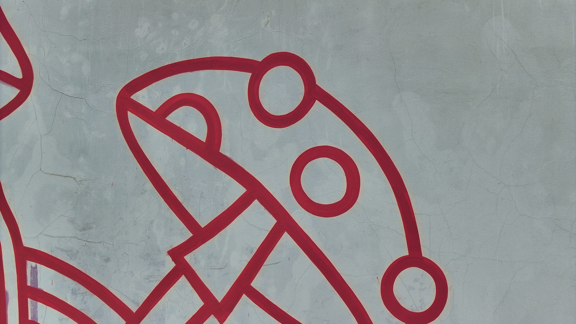 Mural Sen - organiczny motyw grzyba, detal z drona